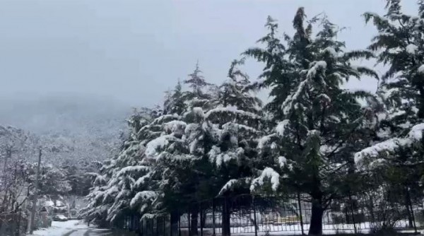 Dëbora e parë e këtij viti zbardh zonat malore të Elbasanit