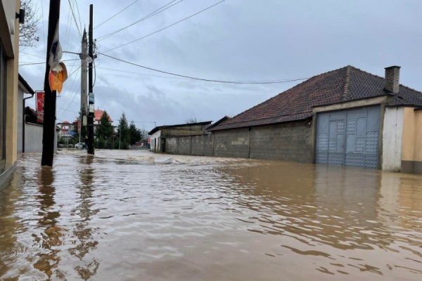 ​Rreziku nga kafshët e ngordhura gjatë përmbytjeve