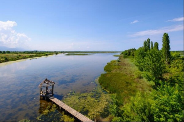 Laguna e Kune Vainit, ndër oazat e biodiversitetit në Evropë