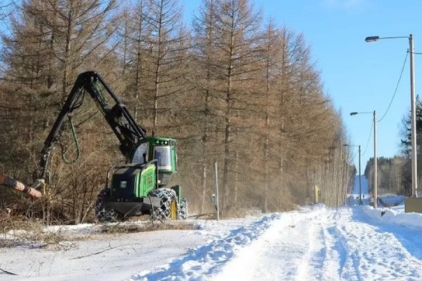 Finlanda nis ndërtimin e gardhit në kufirin me Rusinë