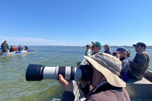 ​Turistët anglezë vizitojnë Divjakën