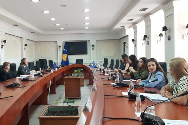 Szunyog, takim me anëtarët e Komisionit parlamentar për Punë të Jashtme
