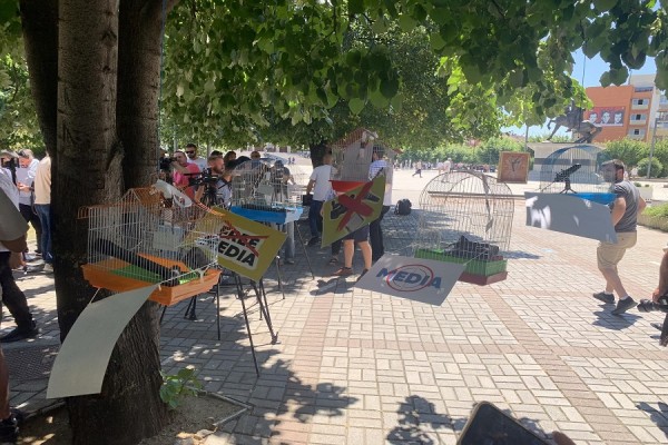 PSD vendos kafazë në oborrin e Qeverisë