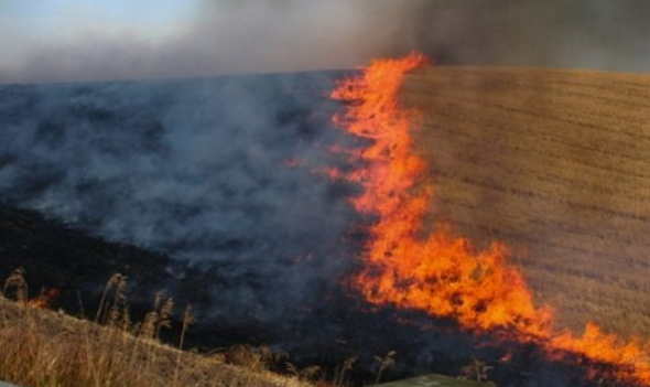 Vdes një burrë teksa po fikte një zjarr fushor në Viti