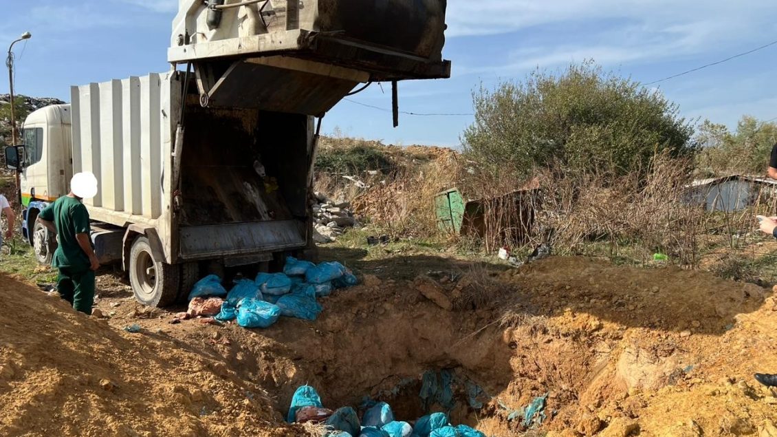 Policia e Kosovës në bashkëpunim me AUV-in asgjëson rreth dy mijë kilogram mish me afat të skaduar