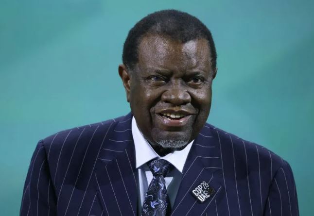 Vdes presidenti i Namibisë, Hage Geingob