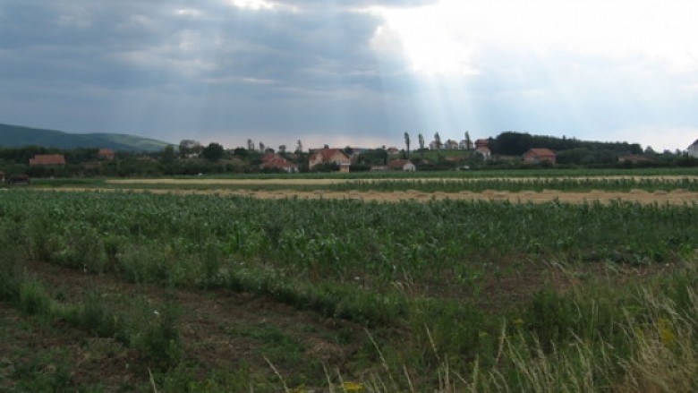 Temperaturat, ndikim ndaj prodhimeve bujqësore në Maqedoni