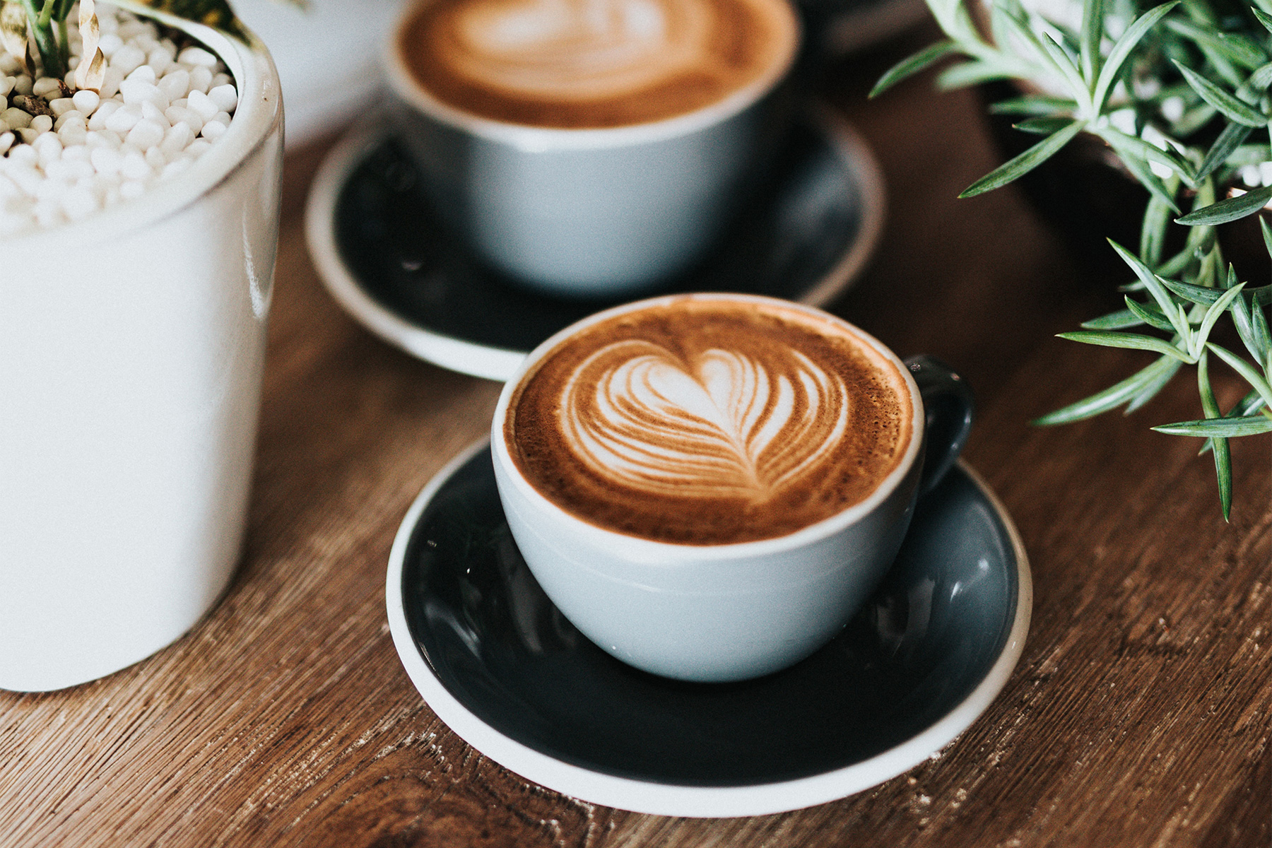 Çaj apo kafe në mëngjes? Ekspertët shpjegojnë se cila është zgjedhja më e mirë