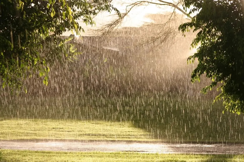 Nga diell në shi, si po ndikon ndryshimi i temperaturës në shëndetin tuaj!