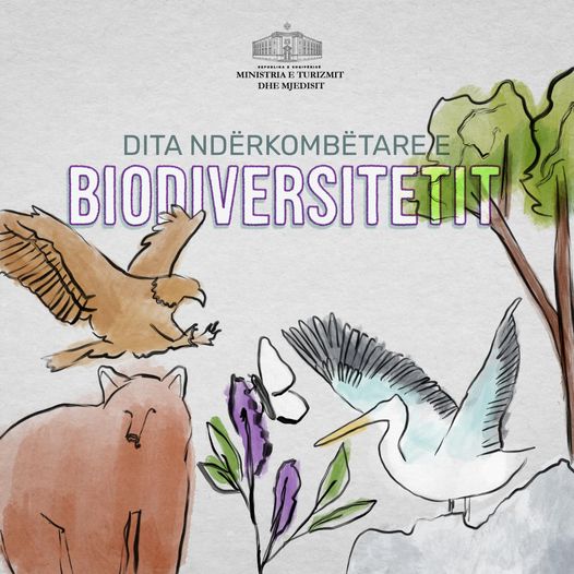 Sot, Dita Ndërkombëtare e Biodiversitetit