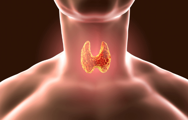 Shenjat e çrregullimeve hormonale që nuk duhen injoruar