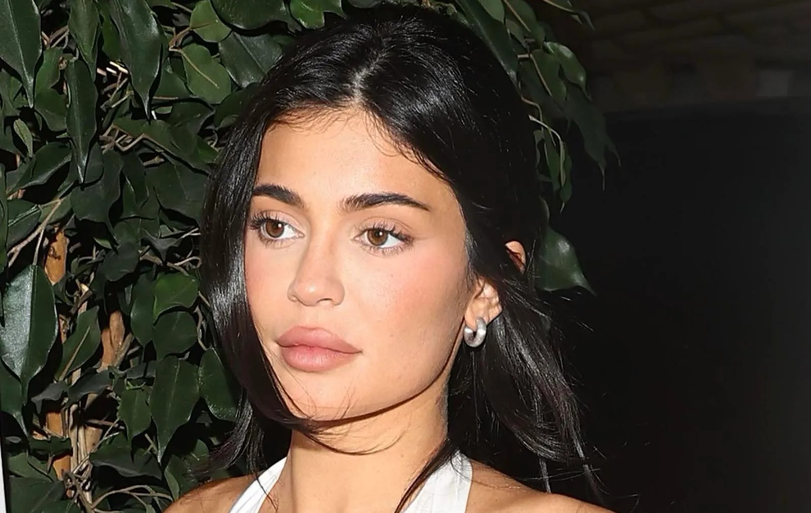 Kylie Jenner s’i bëjnë më bikinit, “godet” rrjetin me foton e fundit