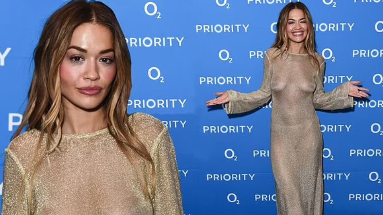 Rita Ora “guxon” me veshje, shfaqet pa sytjena në një fustan transparent me shkëlqim