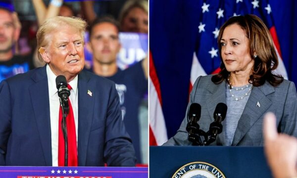 Trump rekruton ish-demokraten që e mundi në 2019 për të mposhtur Kamala Harris