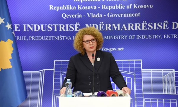 Hajdari: Diaspora, një nga shtyllat kryesore të zhvillimit të Kosovës