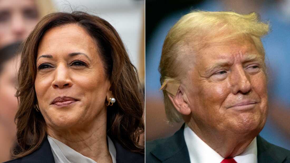 Kamala mund Trump-in në sondazhe