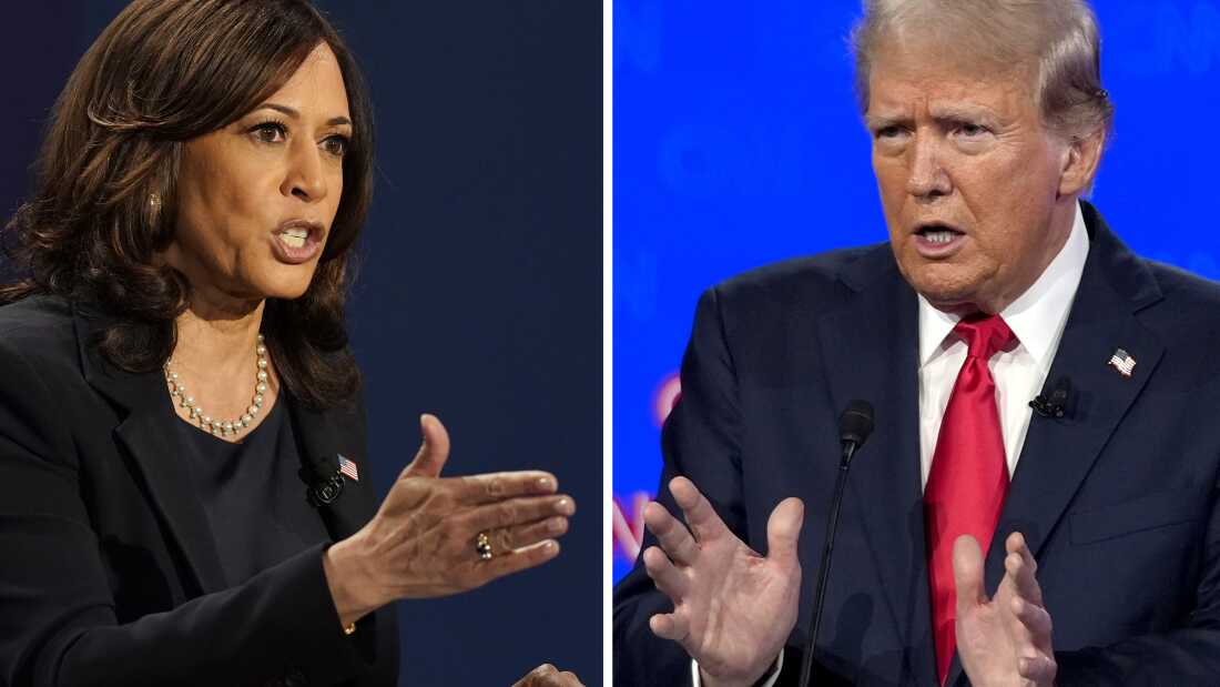 Ekipi i Trump-it goditet nga hakerat. Harris përqëndrohet tek ekonomia