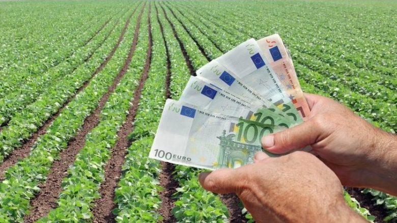 Detaje nga arrestimi i mësimdhënëses në Pejë për mashtrimin e bujqëve për subvencione