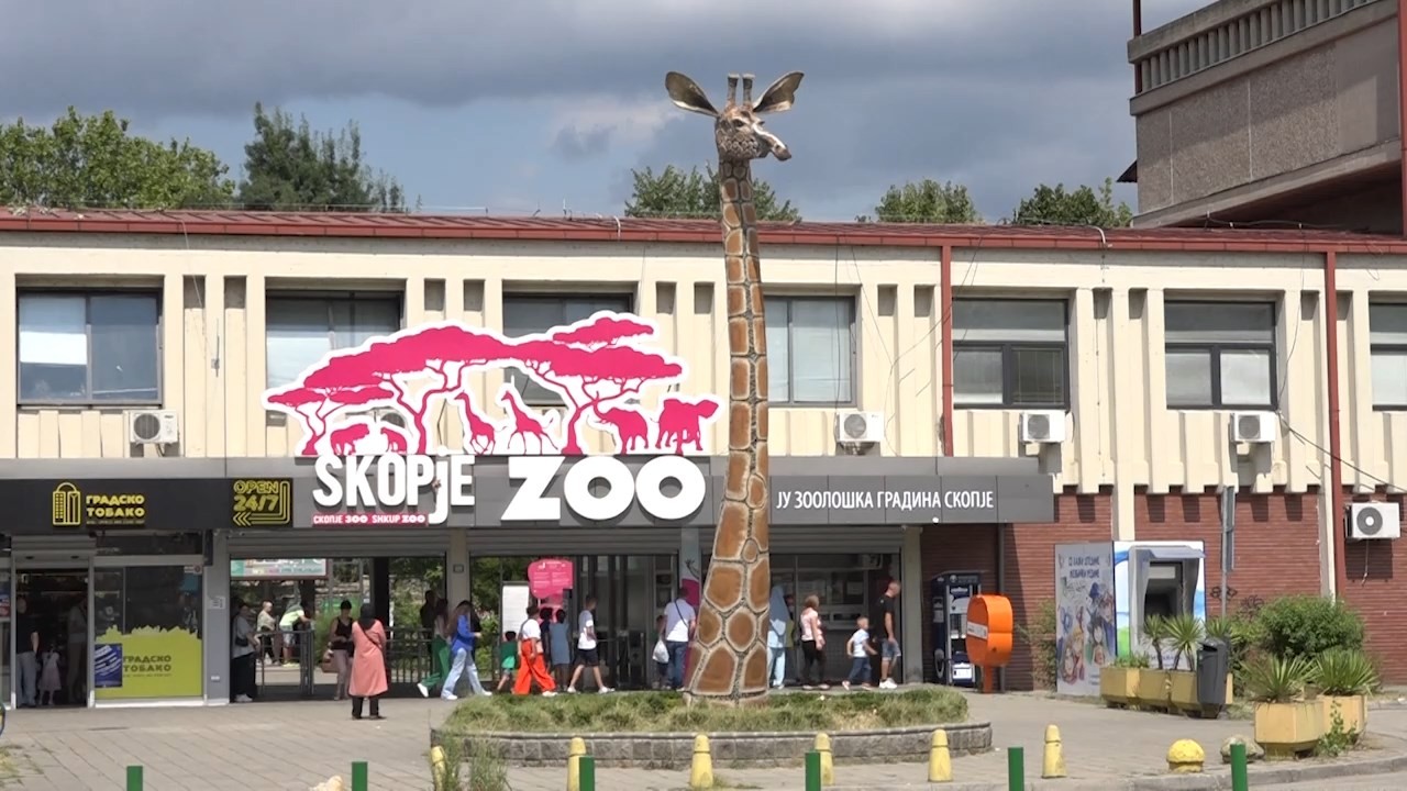 Dyshime për gripin e shpendëve, mbyllet kopshti zoologjik në Shkup