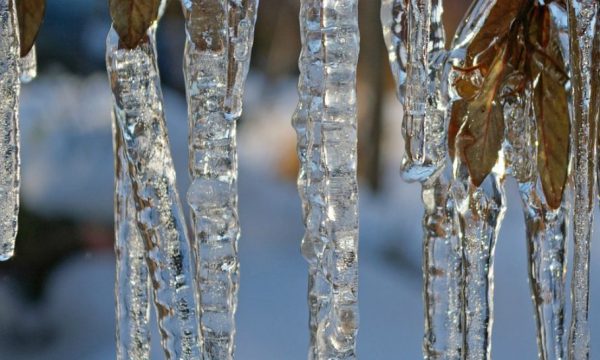 Ngrica, reshje bore e shiu, parashikimi i motit për pesë ditët e ardhshme