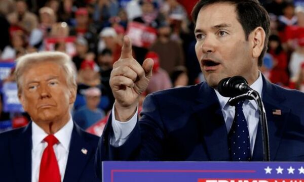 NYT: Trump pritet të emërojë Marco Rubio si Sekretar të Shtetit