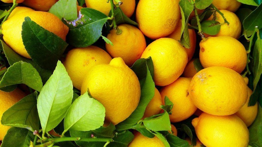 Gjethet kurative të limonit