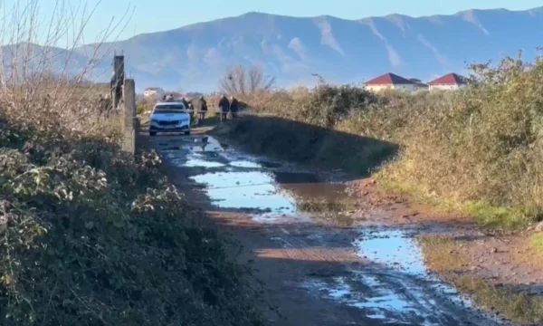 Vrasje në Shkodër, 33-vjeçari qëllohet me armë zjarri brenda makinës