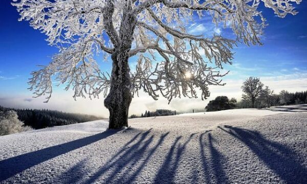 Gjatë natës dhe mëngjesit temperaturat deri në -12 gradë, nesër me intervale me diell