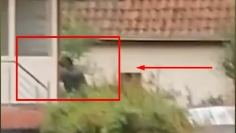 Publikohet momenti i gjuajtjes me breshëri plumbash ndaj terroristëve serbë në Banjskë