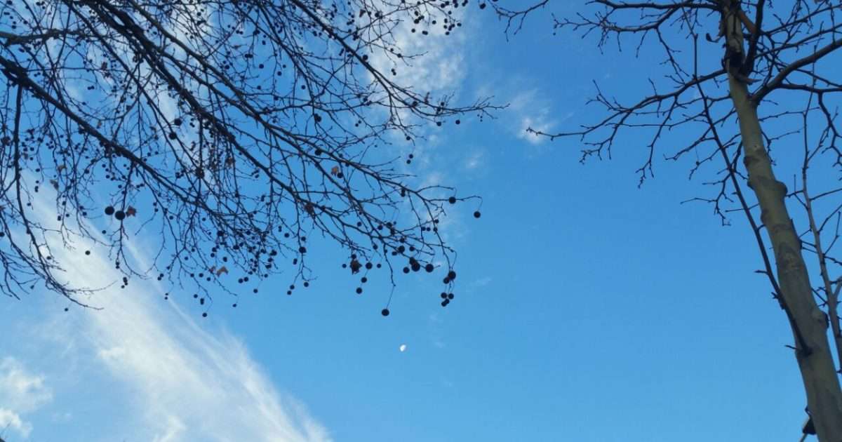 Mot me diell dhe vranësira të shpërndara
