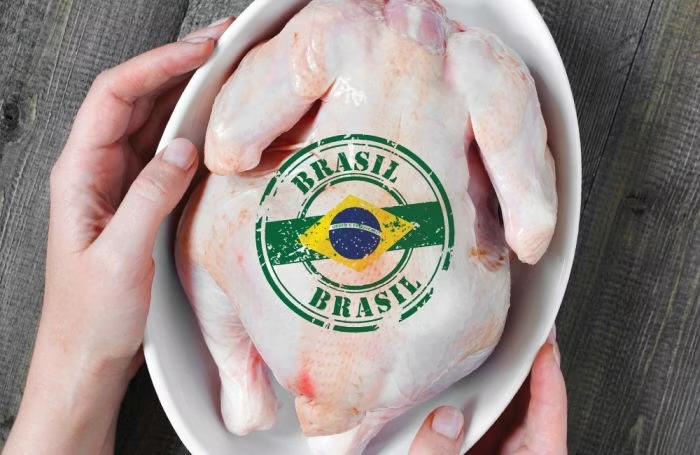Kosova e ndalon importin e mishit të pulës nga Brazili