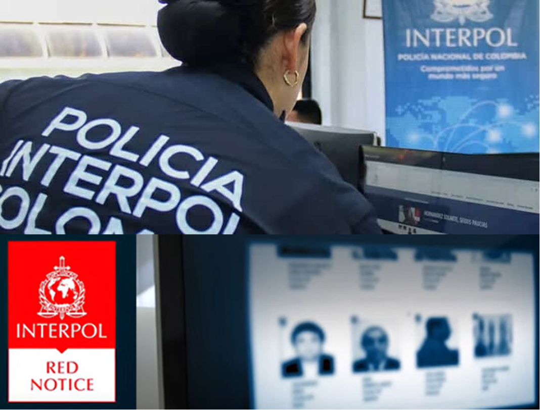 Sipas Interpol-it, kriminelet më të kërkuar në ballkan janë nga vendet kandidate për në BE, Serbia (19) dhe Shqipëria (10), kurse nga Kosova asnjë?!