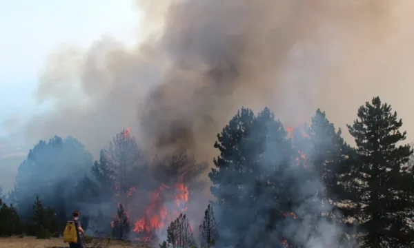 Situata me zjarret merr përmasa serioze në Kosovë, sot u regjistruan 66 raste