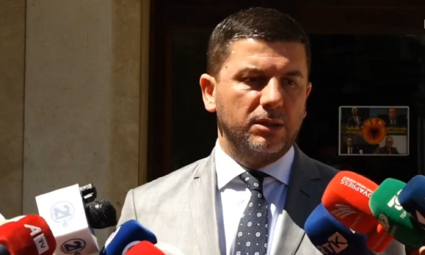 Krasniqi: I takon presidentes të vendosë nëse do t’i drejtohet apo jo Gjykatës Kushtetuese