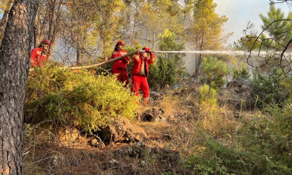 Zjarret në Shqipëri, si paraqitet situata
