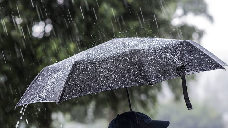 Mot i vranët, dhe me reshje shiu