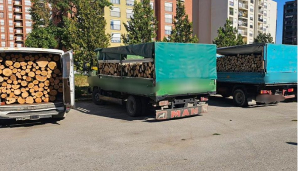 Ferizaj: Policia ndalon tri automjete që transportonin dru ilegalisht