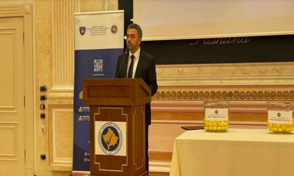 Radoniqi: Zgjedhjet nuk janë veç garë për pushtet, janë themel i demokracisë