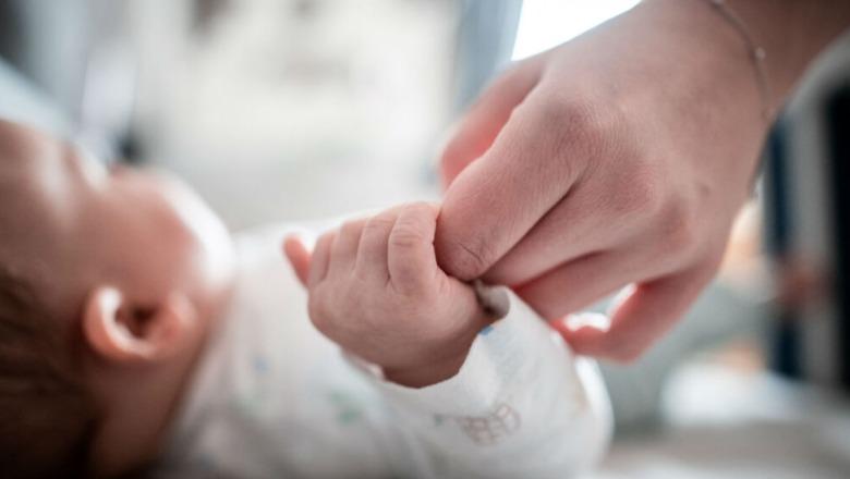 ​Bie numri i lindjeve në Kosovë