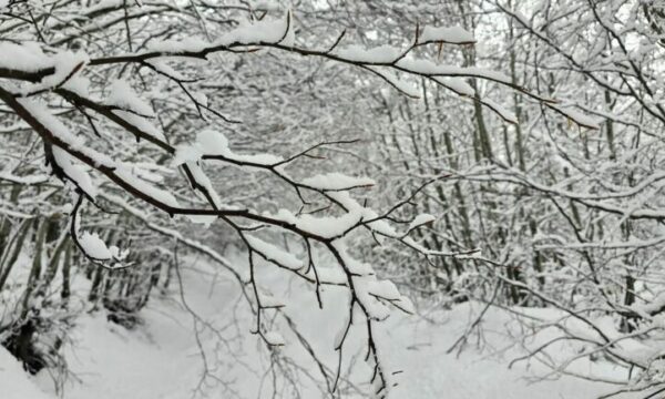 Kosova zgjohet me borë, meteorologu Aliu tregon se kur ndodh zakonisht ky fenomen
