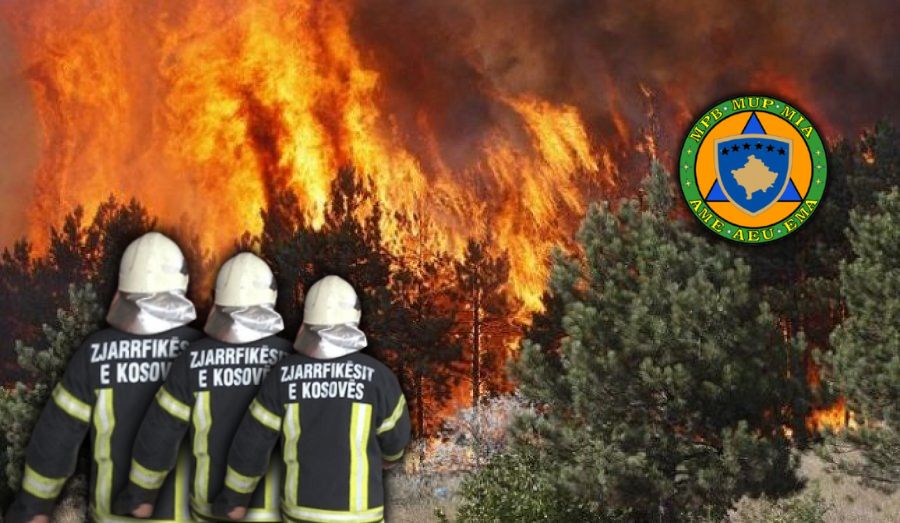 Kosovë: Mbi 8,300 zjarre të regjistruara nga janari deri në gusht 2025