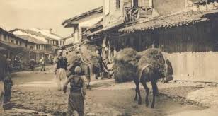 “New York Times” më 1913: Pse Austria e krijoi Mbretërinë e Shqipërisë, në pritje të një princi dhe me kryeqytet Elbasanin
