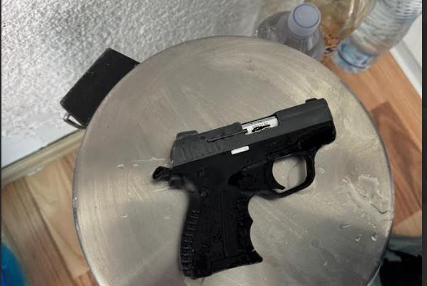Goditet Rrjeti i falsifikimit të pronave shtetërore, prangoset një person