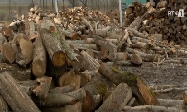 “Njerëzit kanë hequr dorë nga ngrohja me dru”, ankohen drushitësit – bizneset e tyre drejt mbylljes