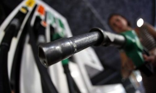 Berjani kërkon shpërndarjen e rezervave shtetërore të naftës në të gjitha pikat e karburantit