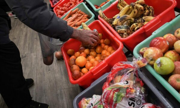Rriten çmimet e vezëve, mishit e pemëve – Autoriteti i Konkurrencës pa fuqi ndëshkuese