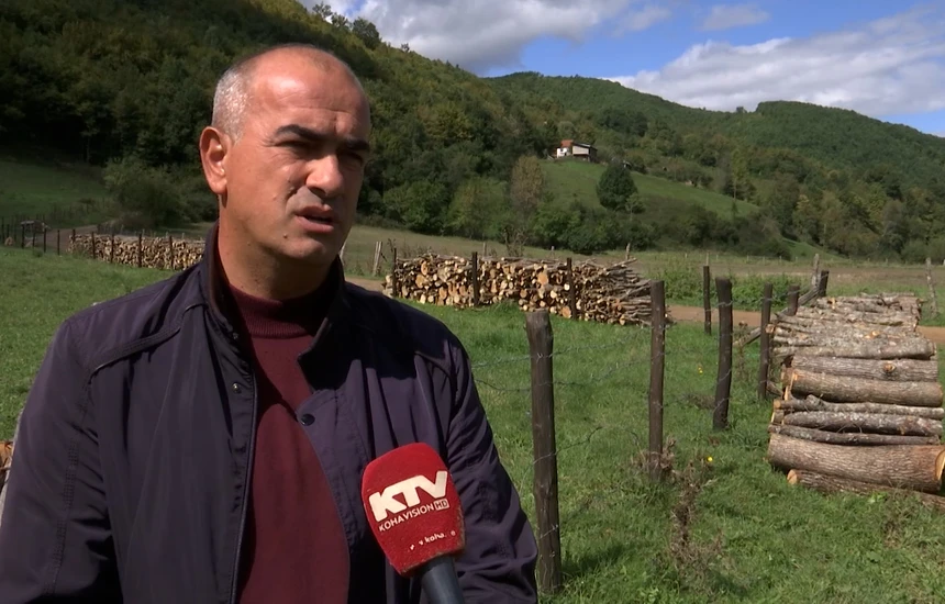 ​Eksperti Hajredini: Kosova mund të nisë certifikimin e pyjeve – kusht kyç për eksportet drejt BE-së