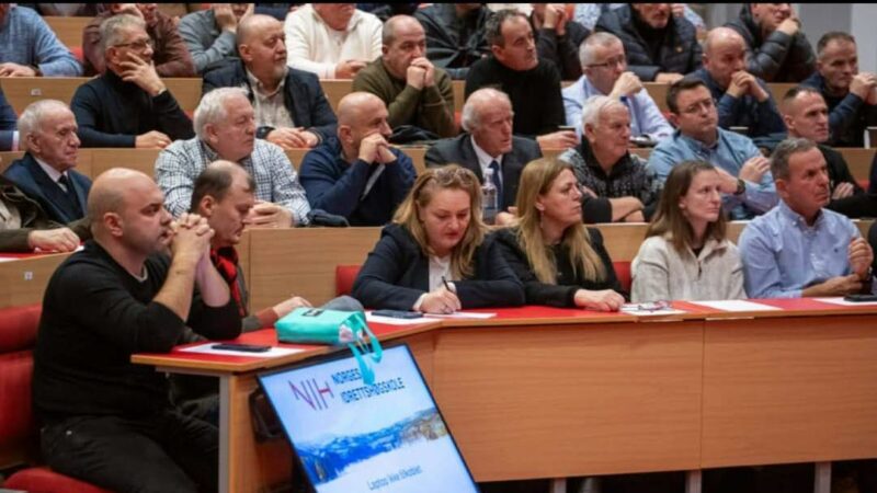 Analisti politik: Ambasadorja në Oslo ka shkelur misionin shtetëror, duhet shkarkuar menjëherë