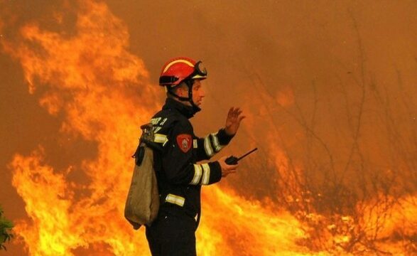 Raporti i zjarreve në Evropë për 2024: Shqipëria pësoi humbjet më të rënda