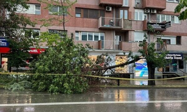 Paralajmërimet për erëra të forta në Prishtinë, drejtori i Emergjencave: Ekipet janë në terren, jemi duke bërë kontrolle